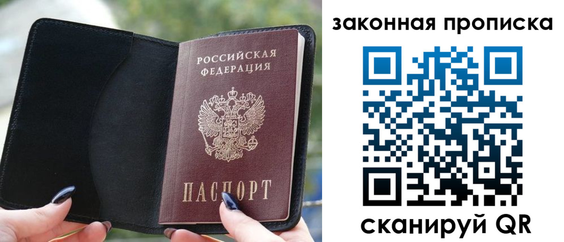 прописка законно в Светлогорске