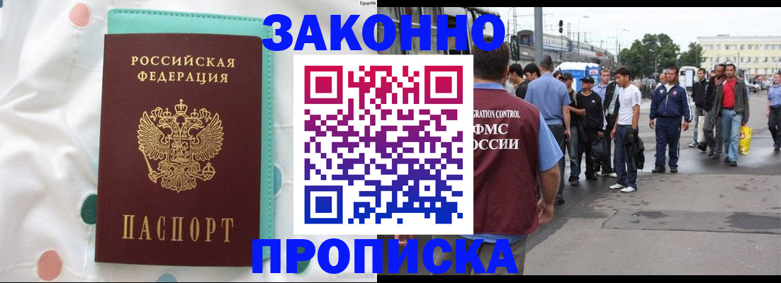 прописка 2025 в Светлогорске