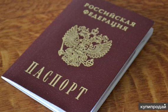 прописка в Светлогорске